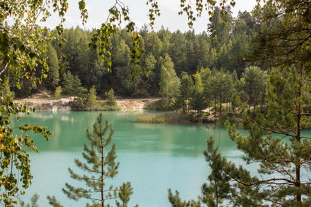 Blue lake in a pine forestの写真素材