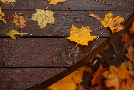 wooden table with leaves in the autumn parkの写真素材