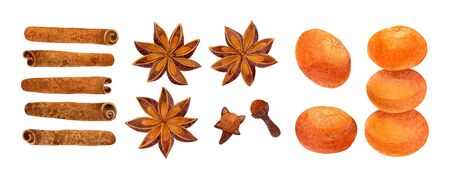 A watercolor illustration a set of Christmas spices and tangerines on a white background. Cinnamon, cloves, anise, citrus.の写真素材
