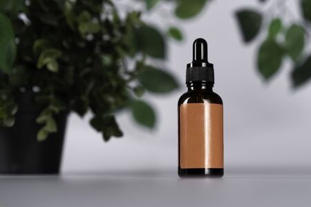 Transparent multi-colored cosmetic glass dropper bottles over green plants on white background. Vials with pipette plastic caps for essential oils, perfumes and skincare substances plased disorderly.の写真素材
