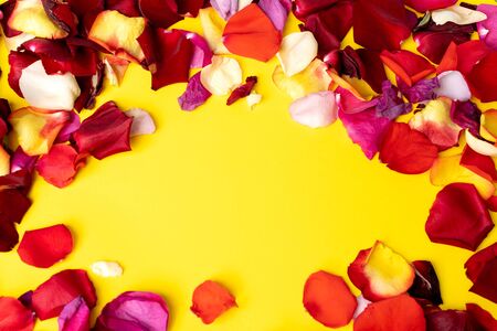 rose flower petals on a bright background on topの写真素材