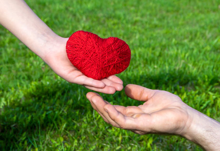 The hand of a child passes a red heart into the hand of an adult. The concept of family, health,...