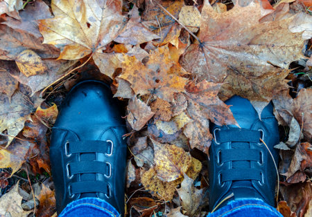 Black boots in autumn foliage