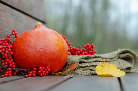 A small orange pumpkin, yellow autumn leaves, red rowan berries and a gray knitted scarf on a brown wooden benchの写真素材