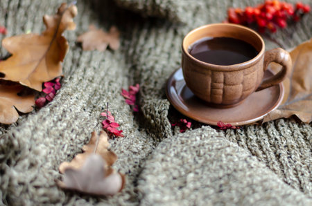 A cup of coffee and autumn leaves and red rowan berries lying on a knitted scarfの写真素材