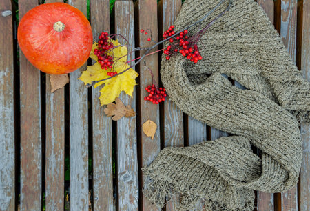 A small orange pumpkin, yellow autumn leaves, red rowan berries and a gray knitted long scarf on a wooden benchの写真素材