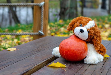 A children's toy red dog with an orange pumpkin sitting on a bench in autumn