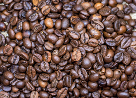 Coffee roasted beansの写真素材