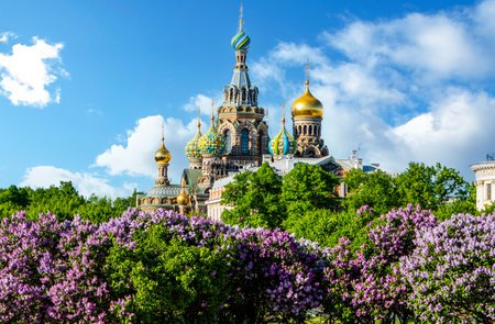 Spring Petersburg. Cathedral of the Savior on Spilled Blood in Saint Petersburg, Russiaの素材 [FY310206495610]