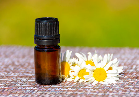 Chamomile essential oil. Dark glass bottle with essential oil and chamomile flowers on the tableの写真素材