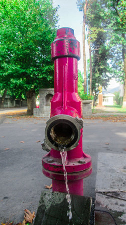 Close up of a pink fire hydrant in the center of the city
