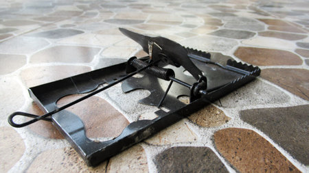 Close up black metal mouse trap on the floor