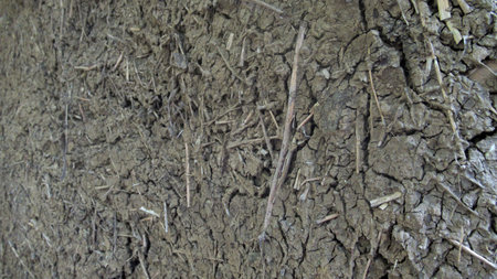 Texture of clay wall of home soil ,Close up of Natural building materials made of clay are...