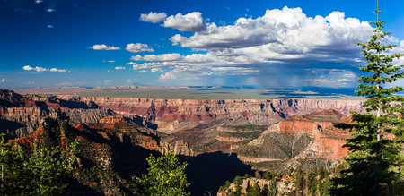 Grand Canyon scenic viewの写真素材