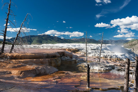 Stunning colorful Mammoth Hot Spring Terrace Landscapeの写真素材