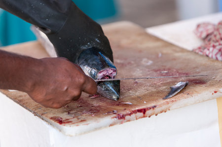 A fisherman carving his freshly caught fish at the marketの写真素材