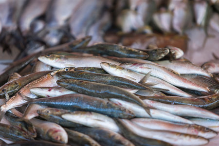 Fresh fish lying on the market displayの写真素材