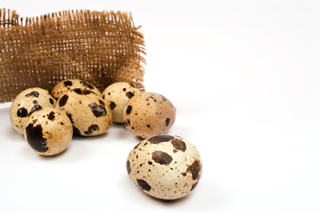 quail eggs on the burlapの写真素材