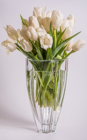 a bouquet of white tulips in large transparent vase white background.の写真素材