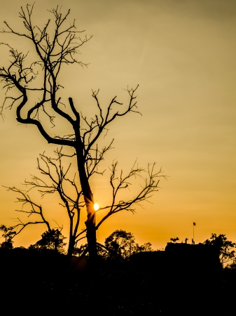 Sunset at Pha Chu Thong,Thailand の写真素材