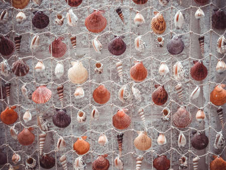 Background from colorful seashells on stone backing. Close-up shot. Texture from art shells for a post, screensaver, wallpaper, postcard, poster, banner, cover, header for a websiteの写真素材
