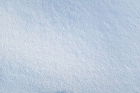 Light blue snow background for branding, calendar, multicolor card, banner, cover, header for website. Fresh snow texture. Winter backdrop. High quality photoの写真素材