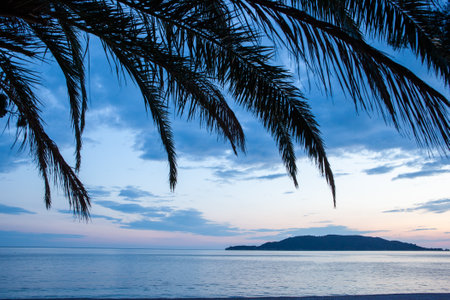 Palm tree leaves silhouette, sunset on blue sea and sky clouds and islands background. Tropical sunset seascape for poster, branding, calendar, multicolor card, banner, cover, post, headerの写真素材