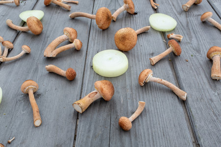 Fresh harvest honey mushrooms and rings onion on a wooden table background. Still life with mushrooms for publication, poster, screensaver, wallpaper, postcard, banner, cover, postの写真素材