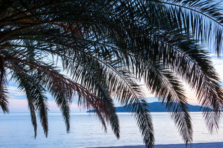 Palm tree leaves silhouette, sunset on blue sea and islands background. Tropical sunset seascape for poster, branding, calendar, multicolor card, banner, cover, post, headerの写真素材