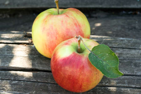 Two fresh red apples on old wooden background, close-up. Still life from two ripe apples for publication, poster, calendar, post, screensaver, wallpaper, postcard, postcard, banner, cover, websiteの写真素材