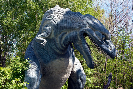 dinosaur in forestの写真素材