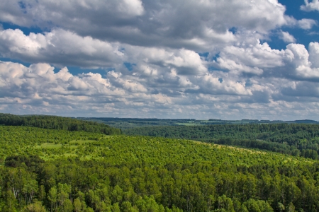 Beautiful green landscape with treesの写真素材