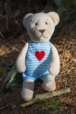 Teddy bear with red heart in the forest on the Trip to Snezka, in Czech Republic, National Park Krkonoseの写真素材