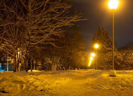 Snowy winter landscape with snow covered trees along the alley in empty night park and shining lanternsの写真素材