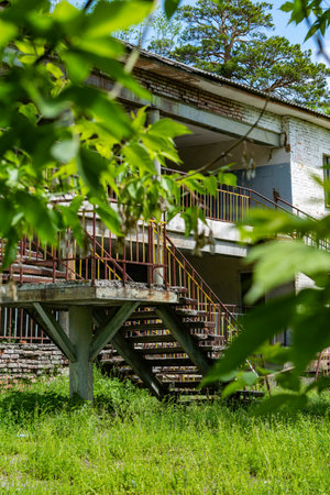 Old abandoned house in the forest with wooden stairs and green grass.の写真素材
