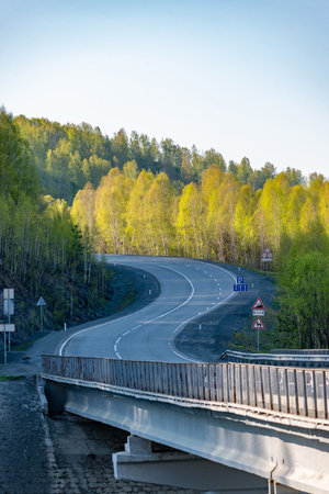 The road in the forest on a sunny spring day. Russia.の写真素材