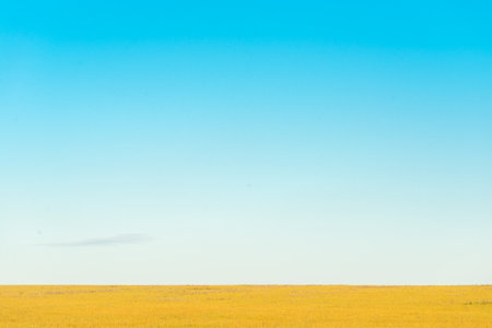 Beautiful blue sky and yellow grass field in the meadow.の写真素材