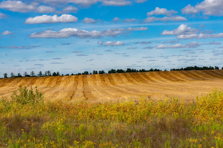 Beautiful autumn landscape with fields and blue sky with white clouds.の写真素材