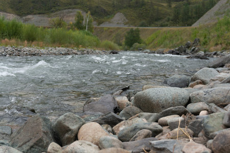 mountain river landscape in the Altai mountains in Russia in summer