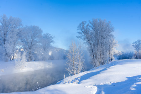 Winter landscape with a river and trees in hoarfrost on a sunny day