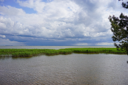 The estuary at the Curonian spit in the Kaliningrad region in the spring on a Sunny dayの写真素材