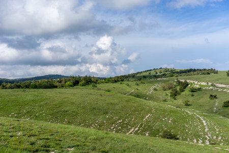 Landscape with hills covered with green grassの写真素材
