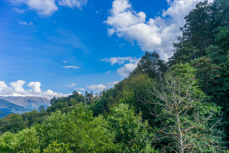 Mountain landscape with trees against a blue sky with cloudsの写真素材