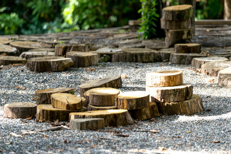 natural background with wooden dice and pieces of tree trunks