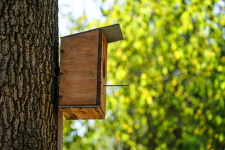 A birdhouse made of plywood on a thick tree trunk and natural backgroundの写真素材