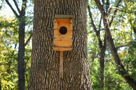 A birdhouse made of plywood on a thick tree trunk and natural background in Sunny day.の写真素材