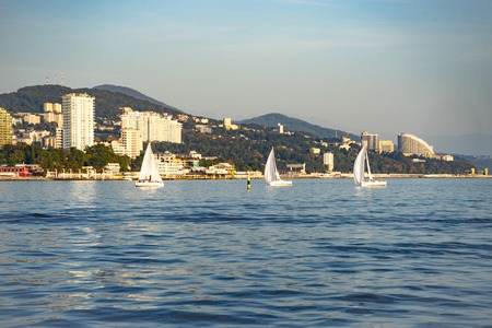 Sochi, Russia-October 8, 2016: Sailing regatta of white yachts on the background of the modern Spa town.のeditorial素材