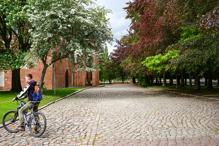 Kaliningrad , Russia-may 18, 2016: A landmark of the ancient city Cathedral under the cloudy sky among the green trees.のeditorial素材