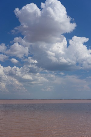 The cloudy sky over the pink lake Sasyk-Sivash. Evpatoria, Crimea.の写真素材