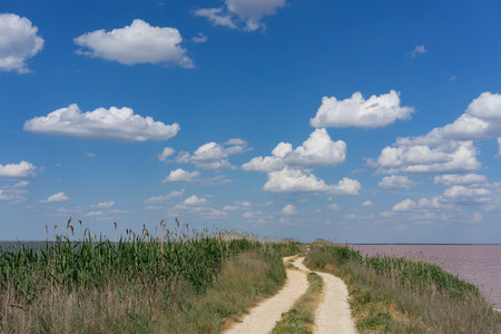 Dirt road in the middle of reeds under the blue sky in the Crimea.の写真素材